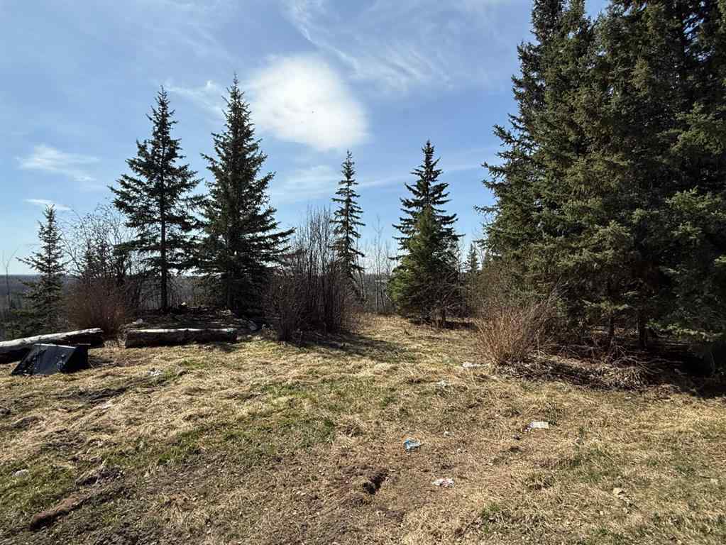 MLS® A2253952 - Unit #73049  OLD HIGH PRAIRIE RD   in NONE Rural Greenview No. 16, M.D. of, Agri-Business