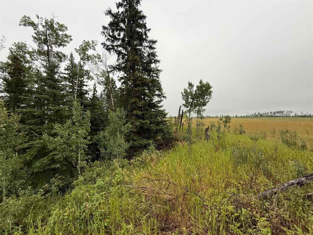 MLS® A2253952 - Unit #73049  OLD HIGH PRAIRIE RD   in NONE Rural Greenview No. 16, M.D. of, Agri-Business