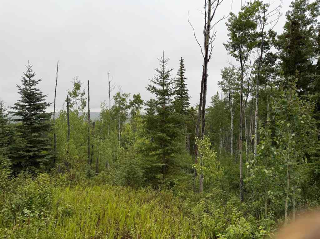 MLS® A2253952 - Unit #73049  OLD HIGH PRAIRIE RD   in NONE Rural Greenview No. 16, M.D. of, Agri-Business