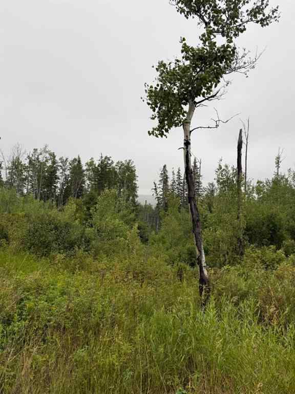 MLS® A2253952 - Unit #73049  OLD HIGH PRAIRIE RD   in NONE Rural Greenview No. 16, M.D. of, Agri-Business
