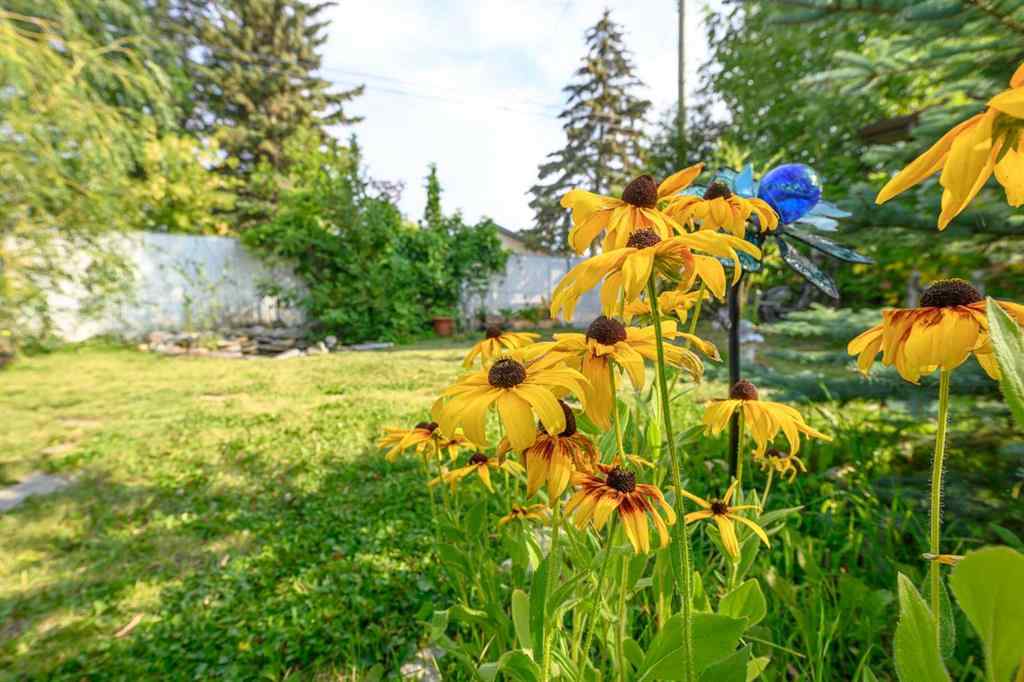MLS® A2253989 - 10230 112 Avenue  in Avondale Grande Prairie, Residential