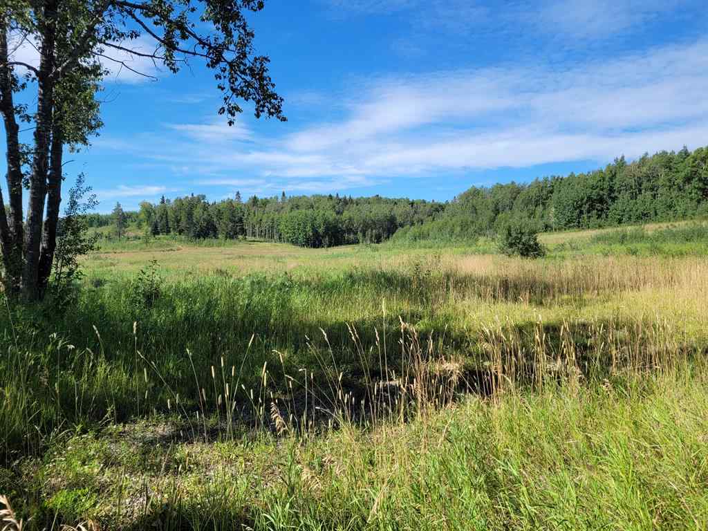 MLS® A2254000 - 123 Centre Street N in NONE Sundre, Land