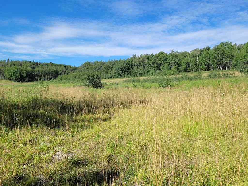 MLS® A2254000 - 123 Centre Street N in NONE Sundre, Land