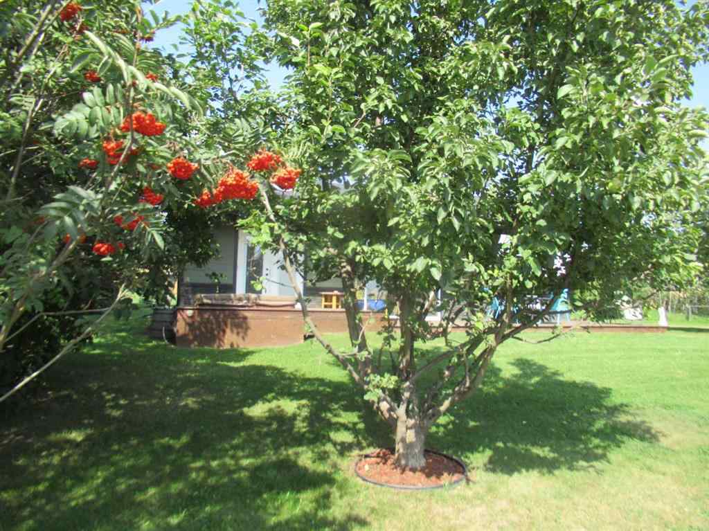 MLS® A2254046 - 2230 Rainy Creek Road   in NONE Rural Lacombe County, Residential