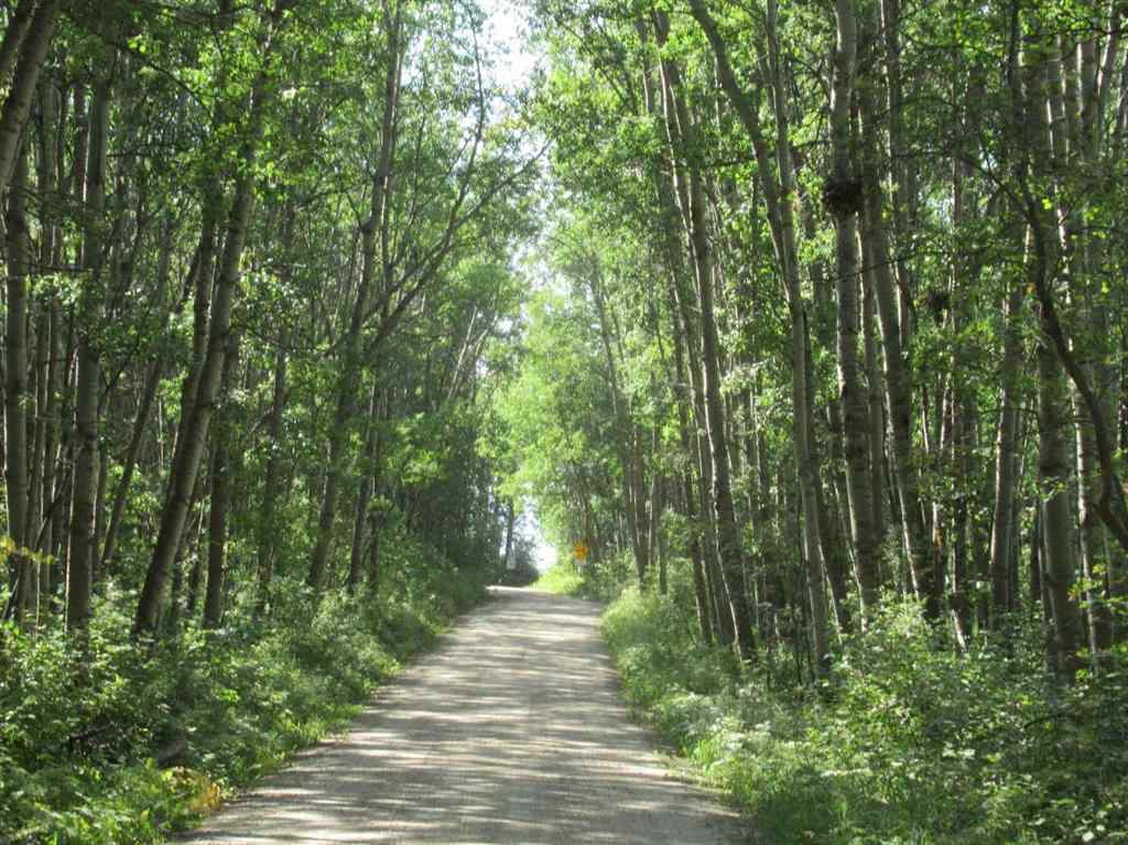 MLS® A2254046 - 2230 Rainy Creek Road   in NONE Rural Lacombe County, Residential