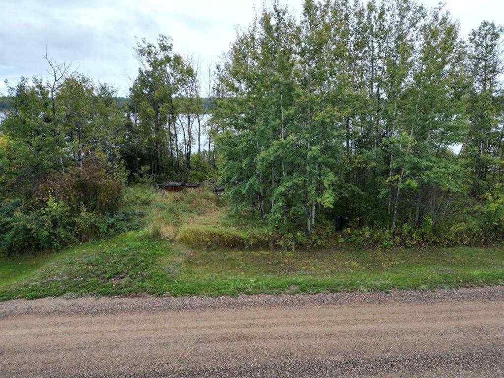 MLS® A2254101 - 000 Rose Meadow Drive  in NONE Loon Lake, Land