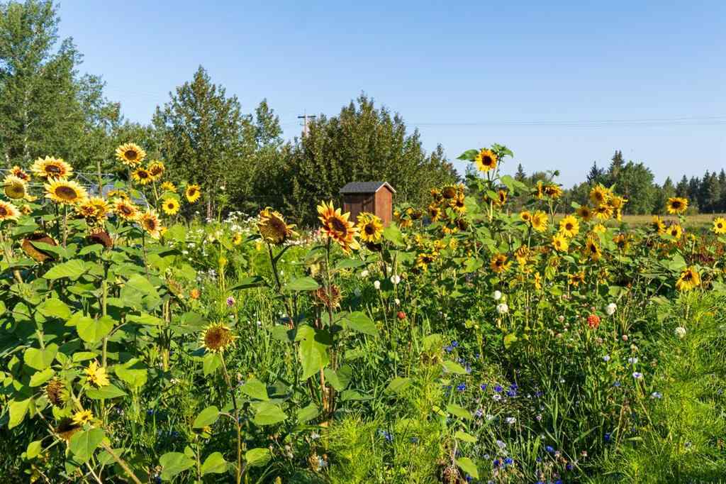 MLS® A2254224 - 39180 C & E Trail N in NONE Rural Red Deer County, Land