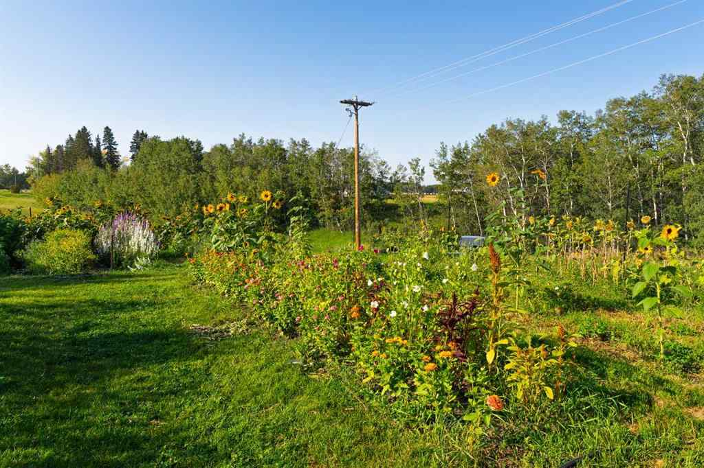 MLS® A2254224 - 39180 C & E Trail N in NONE Rural Red Deer County, Land