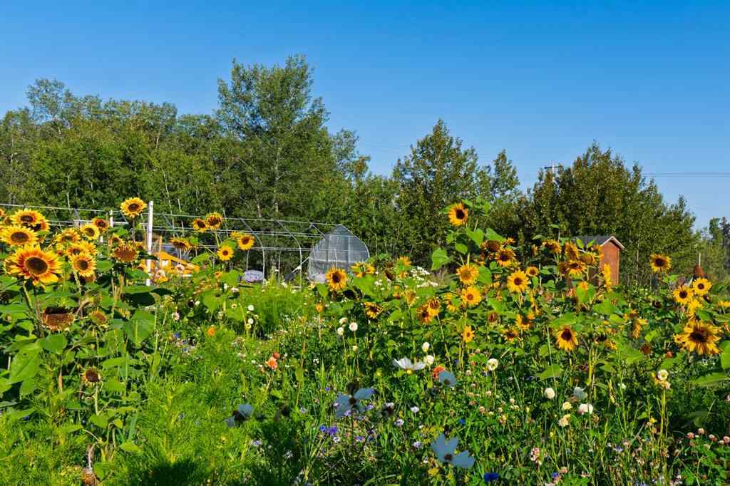 MLS® A2254224 - 39180 C & E Trail N in NONE Rural Red Deer County, Land