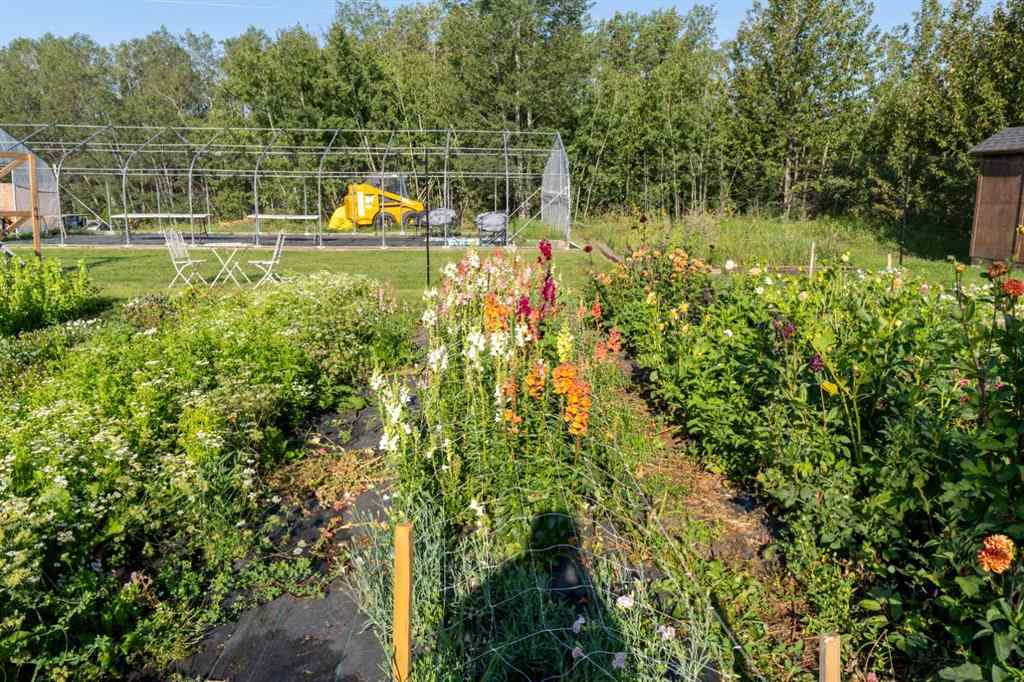MLS® A2254224 - 39180 C & E Trail N in NONE Rural Red Deer County, Land