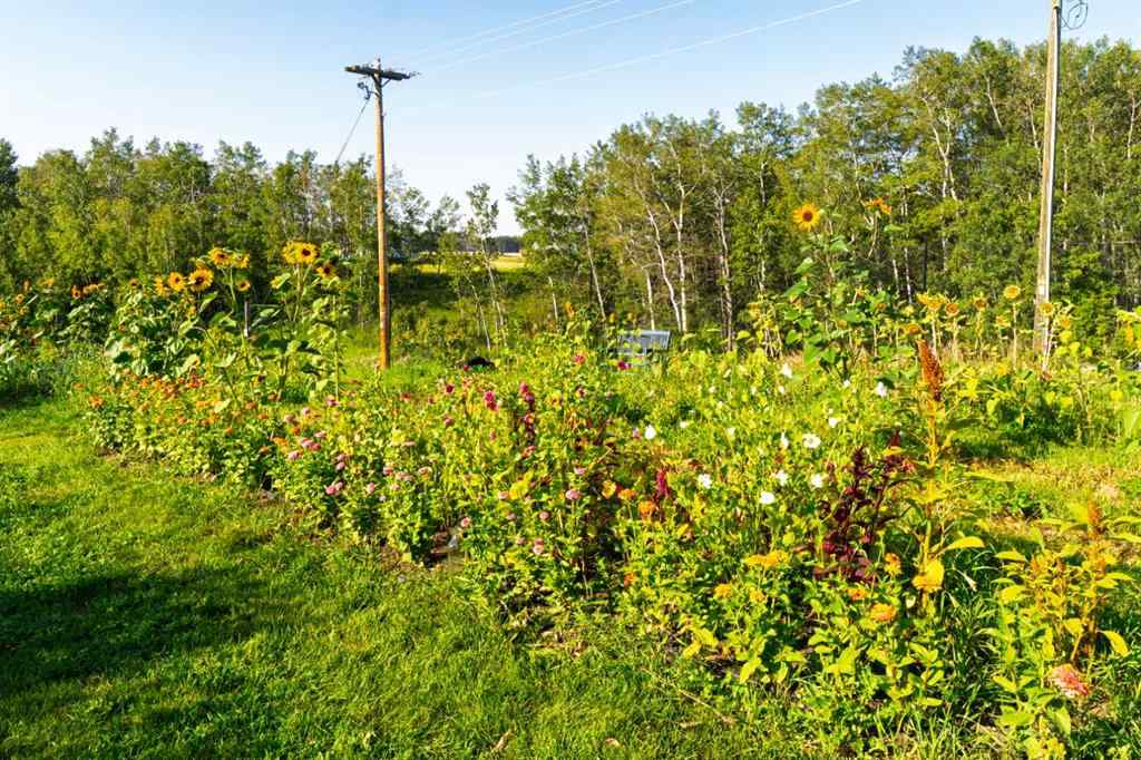 MLS® A2254224 - 39180 C & E Trail N in NONE Rural Red Deer County, Land