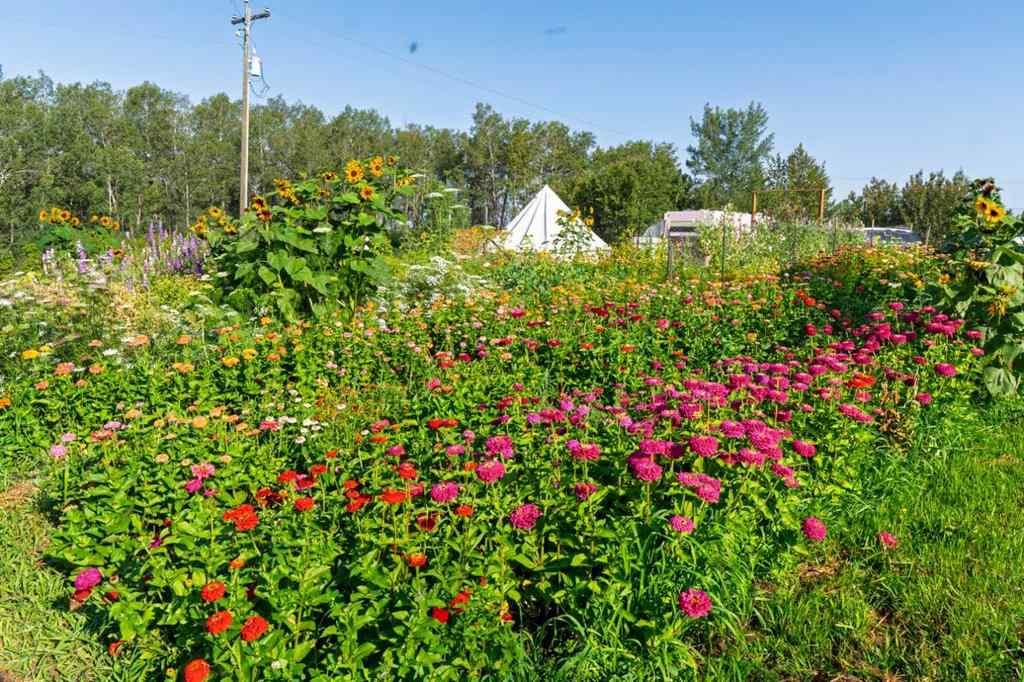 MLS® A2254224 - 39180 C & E Trail N in NONE Rural Red Deer County, Land