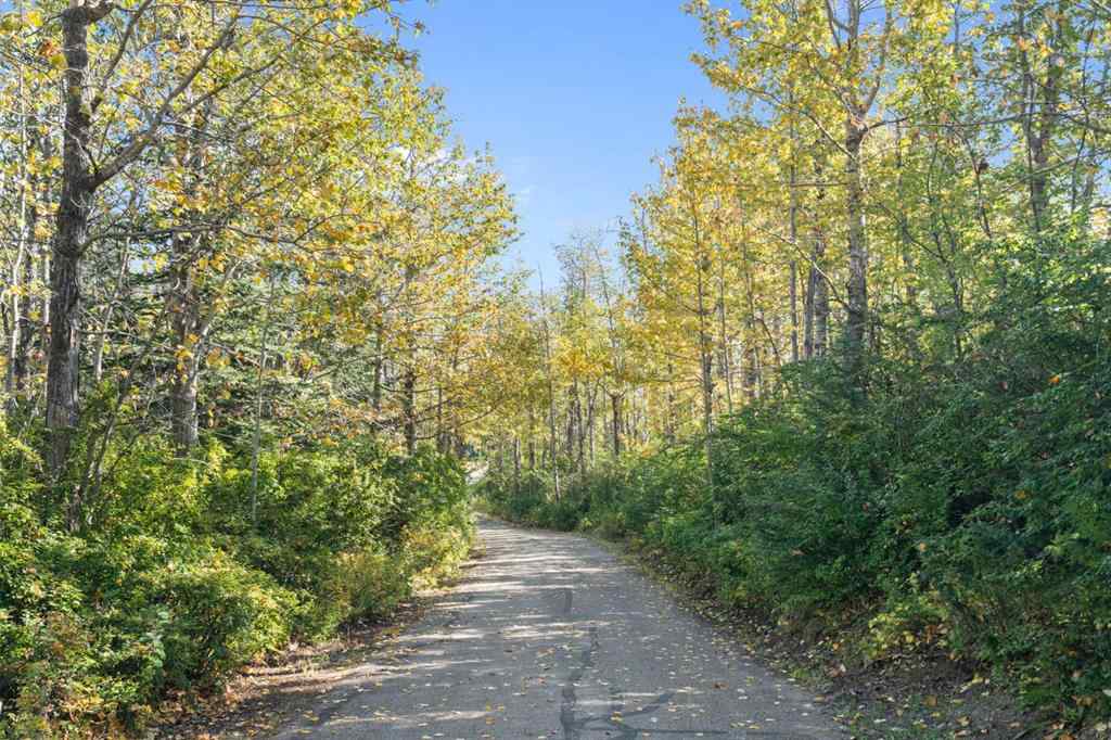 MLS® A2254240 - 101 Nagway Court  in Bearspaw_Calg Rural Rocky View County, Residential