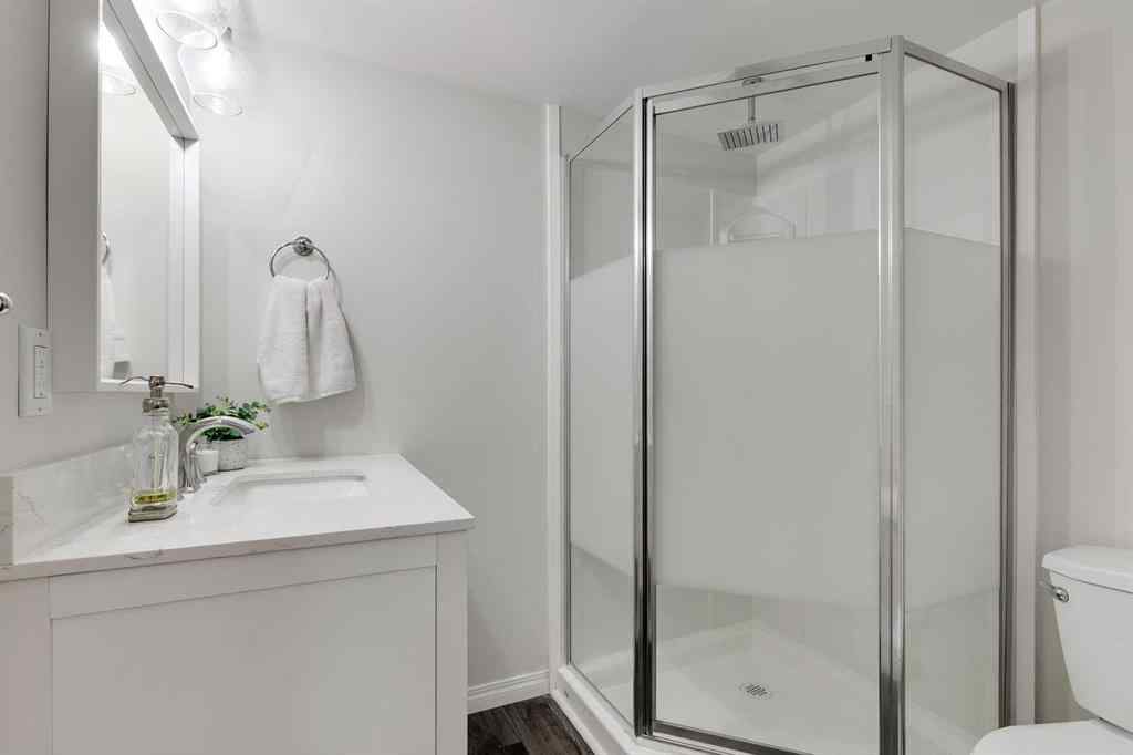 MLS® A2254251 - 95 Prestwick Heath SE in McKenzie Towne Calgary, Residential