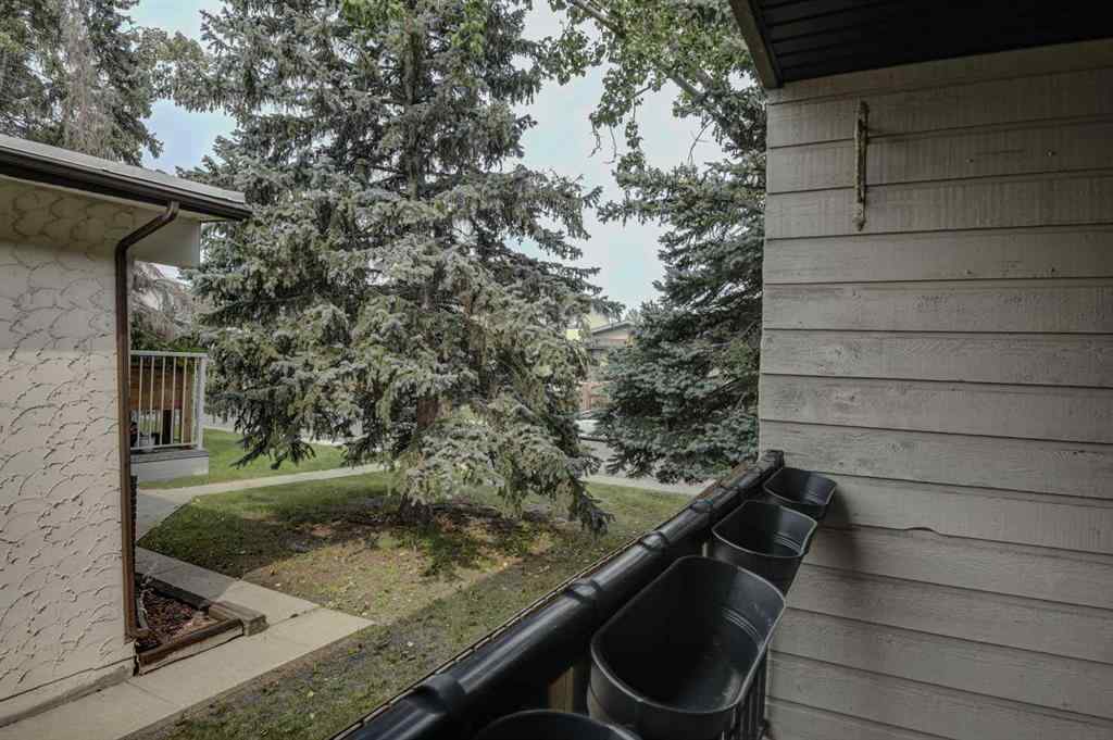 MLS® A2254283 - Unit #204 4311 73 Street NW in Bowness Calgary, Residential
