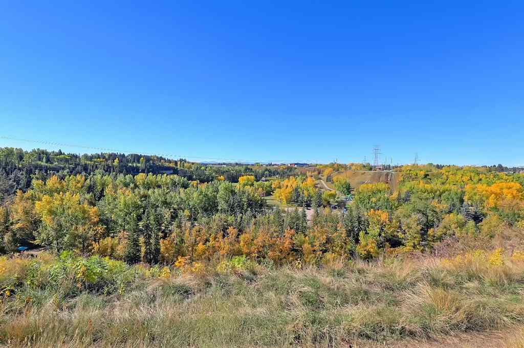 MLS® A2254331 - Unit #1 512 56 Avenue SW in Windsor Park Calgary, Residential