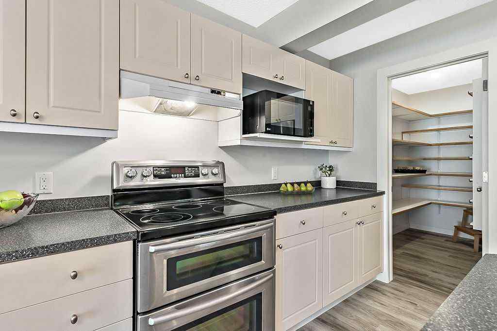 MLS® A2254412 - 18381 Chaparral Street SE in Chaparral Calgary, Residential