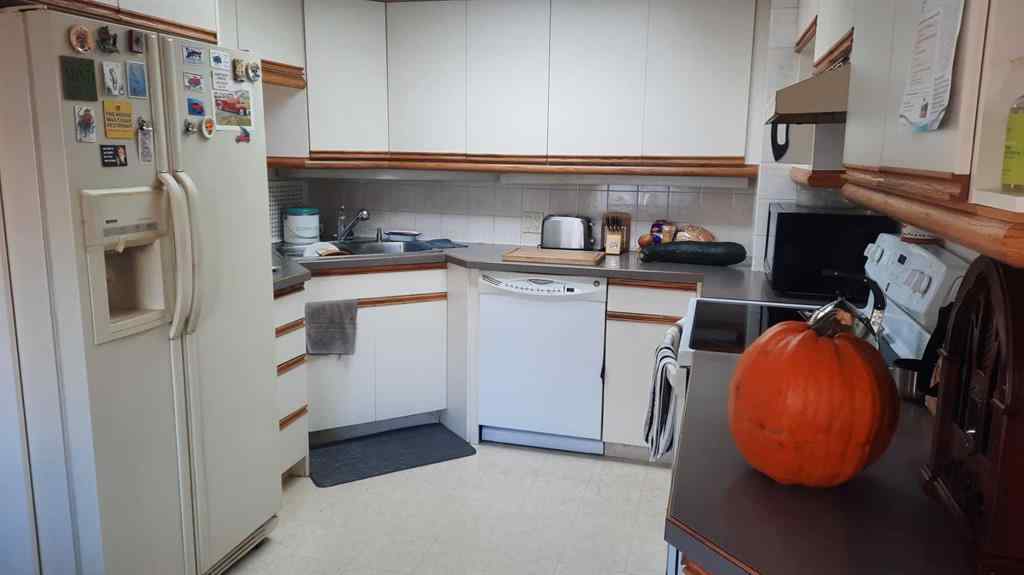 MLS® A2254454 - 1111 2 Avenue W in Newcastle Drumheller, Residential