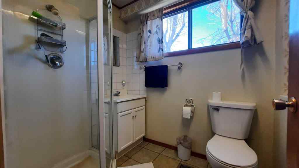 MLS® A2254454 - 1111 2 Avenue W in Newcastle Drumheller, Residential
