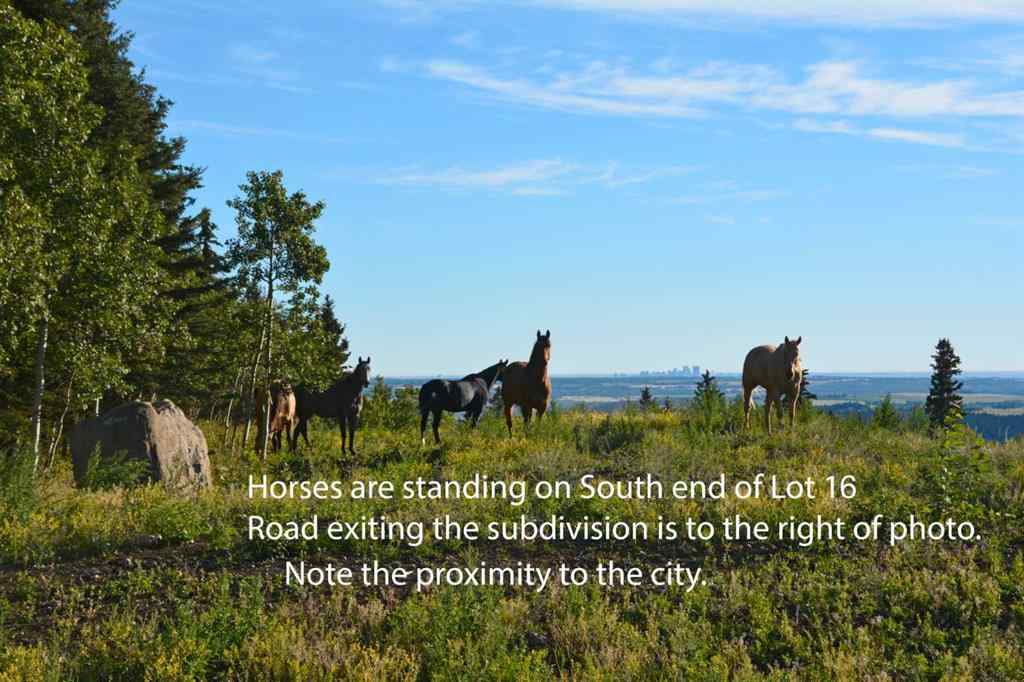 MLS® A2254463 - 256132 Whiskey Springs Hill W in NONE Rural Foothills County, Land