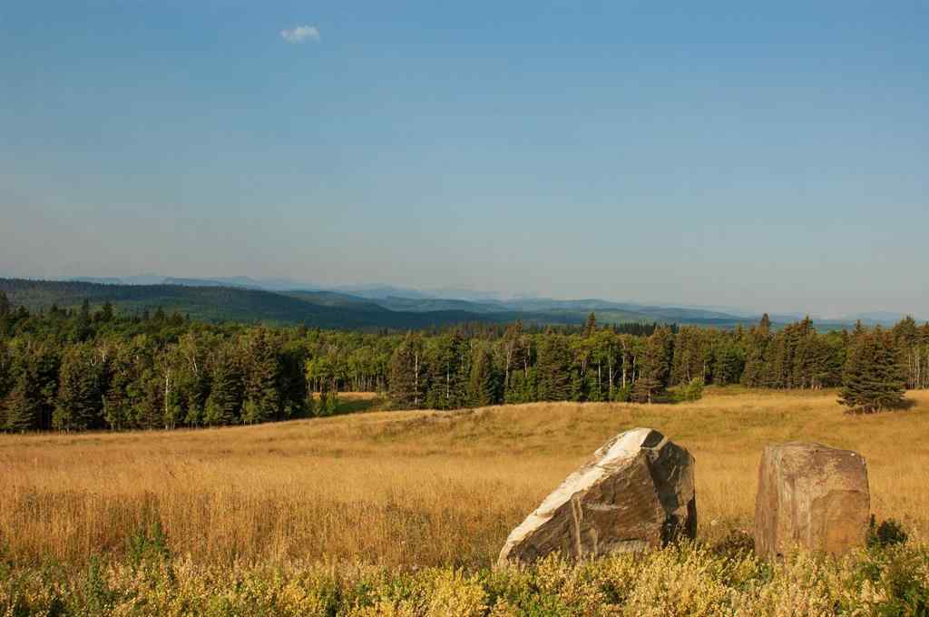 MLS® A2254463 - 256132 Whiskey Springs Hill W in NONE Rural Foothills County, Land
