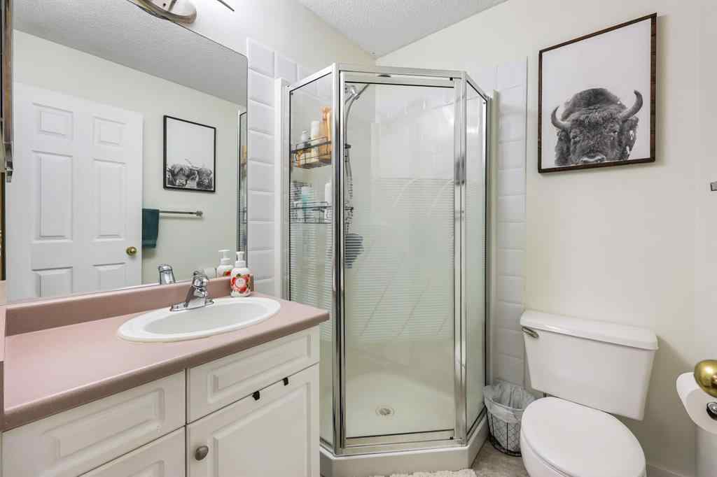 MLS® A2254507 - 10 Big Springs Hill SE in Big Springs Airdrie, Residential