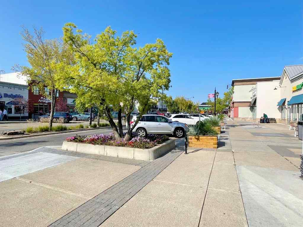 MLS® A2254511 - 1130 Mckenzie Towne Row SE in McKenzie Towne Calgary, Residential