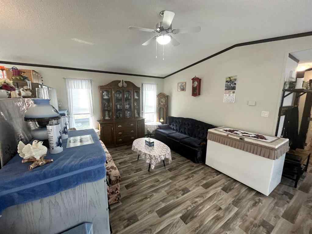MLS® A2254601 - 349 Railway Avenue  in NONE Duchess, Mobile