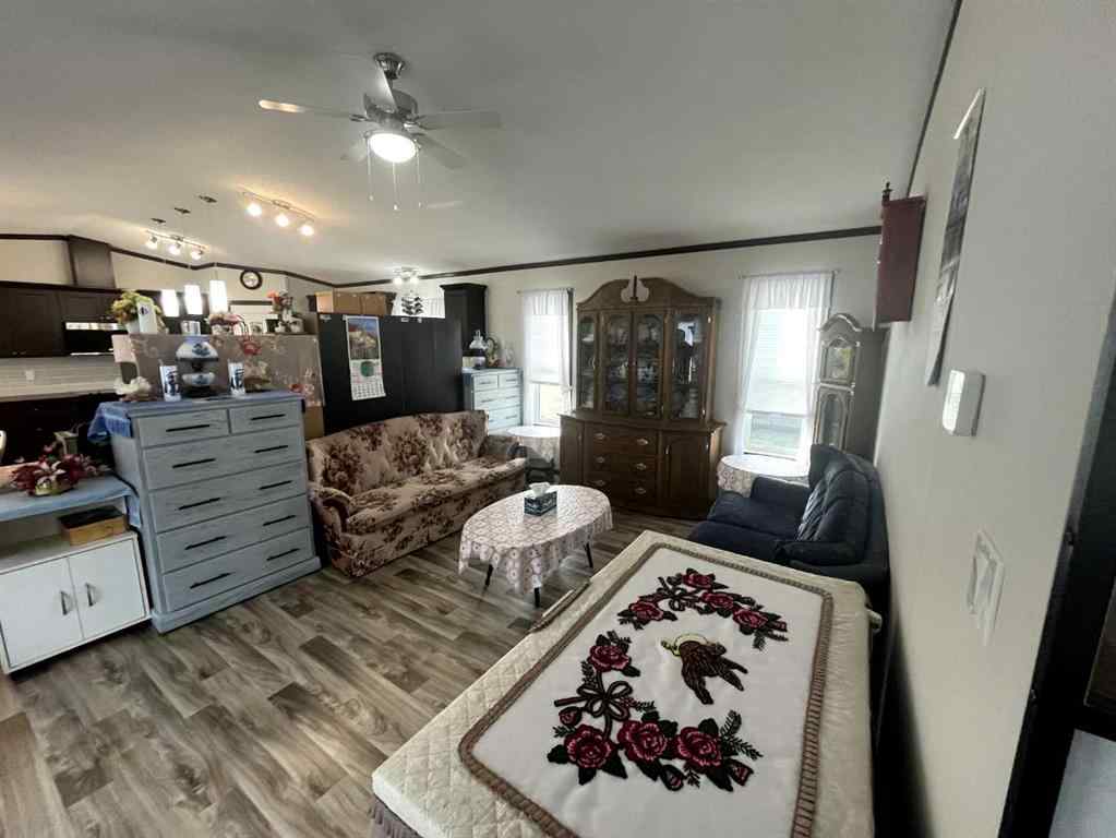 MLS® A2254601 - 349 Railway Avenue  in NONE Duchess, Mobile
