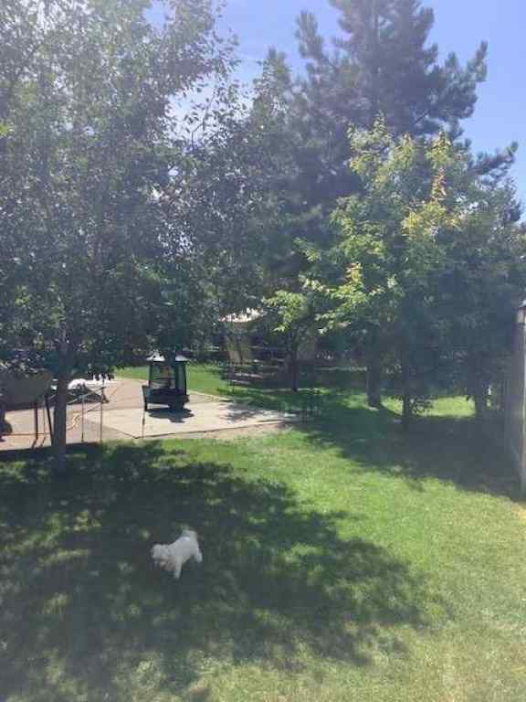 MLS® A2254617 - Unit #270 370165 79 Street E in NONE Rural Foothills County, Land