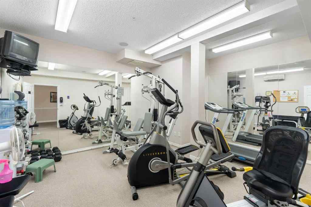 MLS® A2254628 - Unit #216 5201 Dalhousie Drive NW in Dalhousie Calgary, Residential
