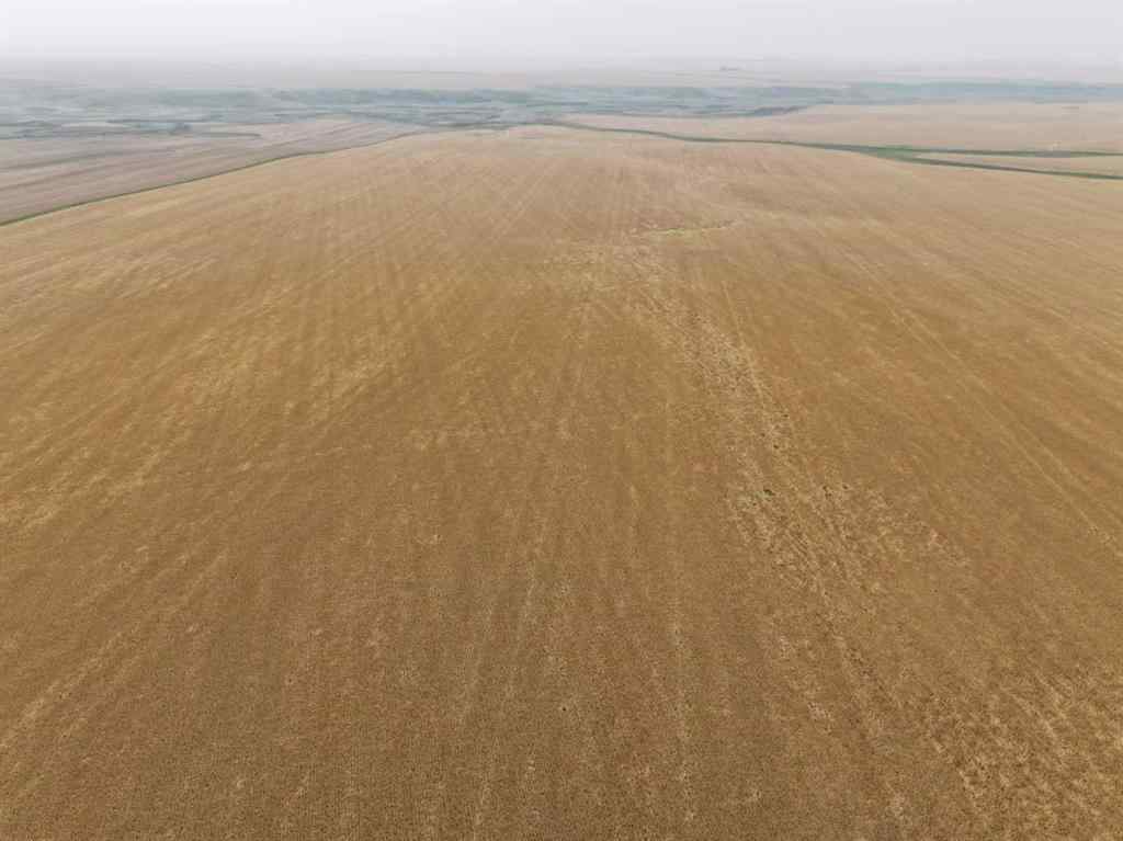 MLS® A2254636 - 230 Rge Rd   in NONE Rockyford, Agri-Business