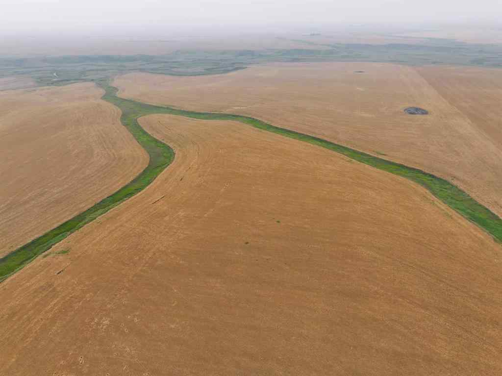 MLS® A2254636 - 230 Rge Rd   in NONE Rockyford, Agri-Business