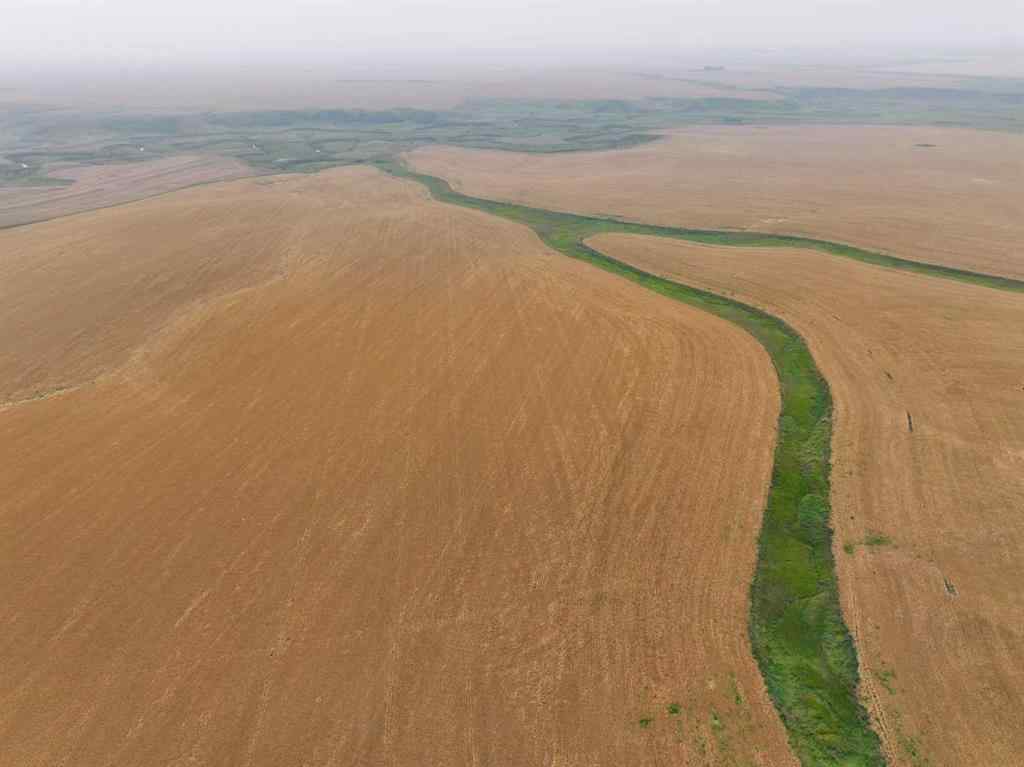 MLS® A2254636 - 230 Rge Rd   in NONE Rockyford, Agri-Business