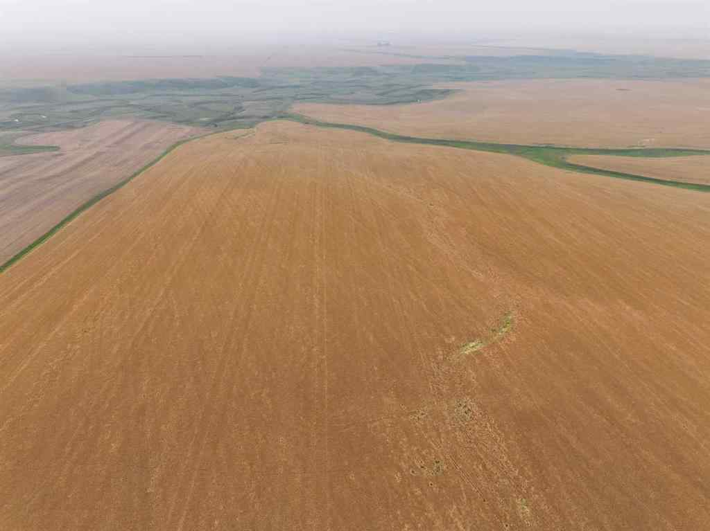 MLS® A2254636 - 230 Rge Rd   in NONE Rockyford, Agri-Business