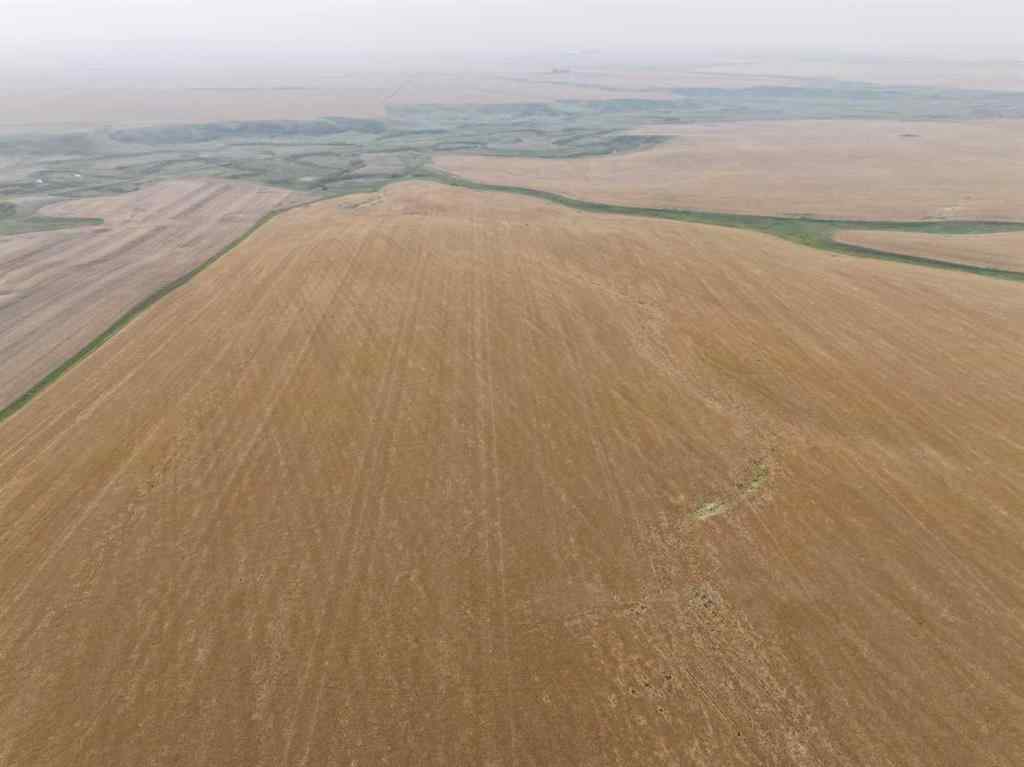 MLS® A2254636 - 230 Rge Rd   in NONE Rockyford, Agri-Business