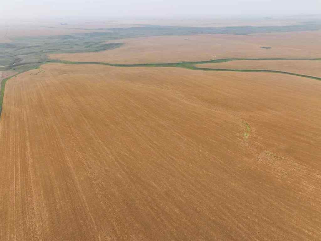 MLS® A2254636 - 230 Rge Rd   in NONE Rockyford, Agri-Business