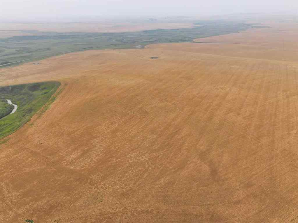 MLS® A2254636 - 230 Rge Rd   in NONE Rockyford, Agri-Business