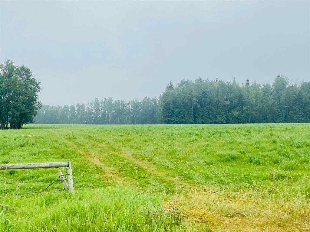 MLS® A2254667 - On Range Road 6-0   in NONE Rural Clearwater County, Land