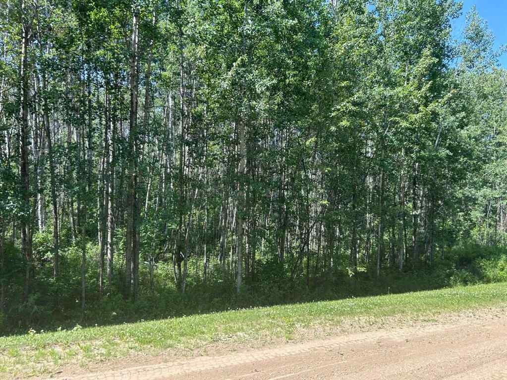 MLS® A2254691 - Unit #14 51314 RR 21   in Rollingview Estates Rural Parkland County, Land