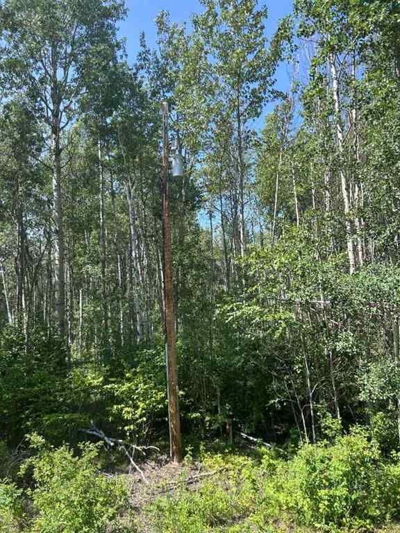 MLS® A2254691 - Unit #14 51314 RR 21   in Rollingview Estates Rural Parkland County, Land