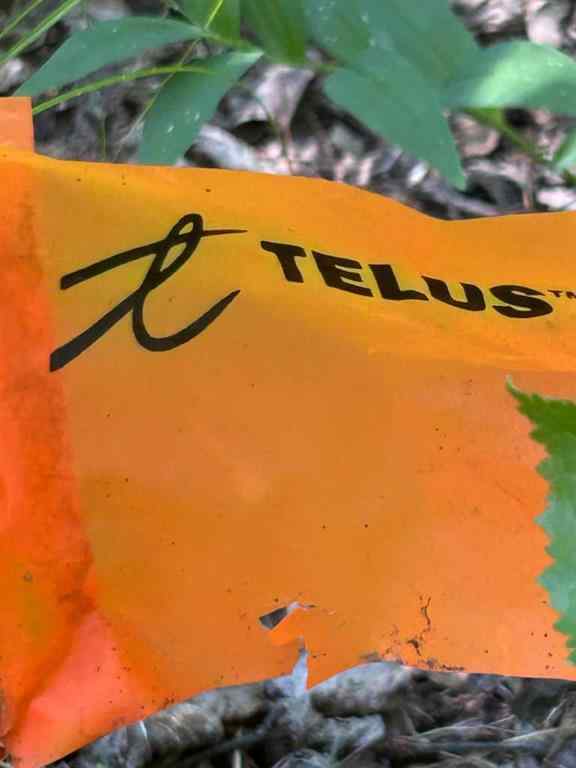 MLS® A2254691 - Unit #14 51314 RR 21   in Rollingview Estates Rural Parkland County, Land
