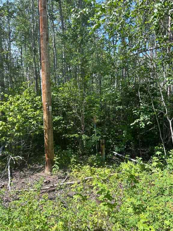 MLS® A2254691 - Unit #14 51314 RR 21   in Rollingview Estates Rural Parkland County, Land