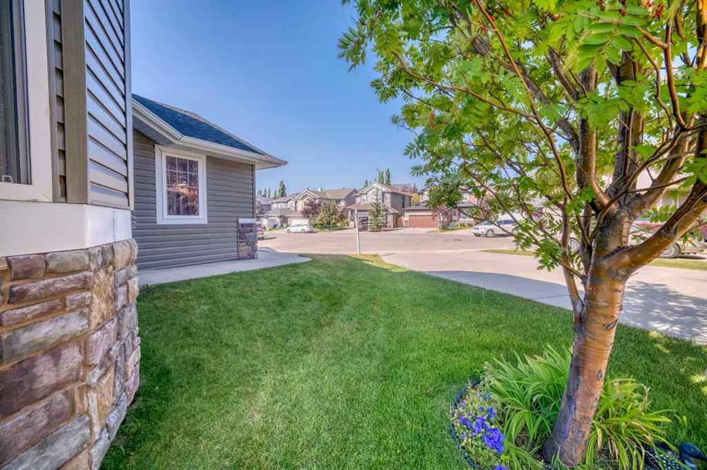 MLS® A2254714 - 141 Royal Abbey Court NW in Royal Oak Calgary, Residential