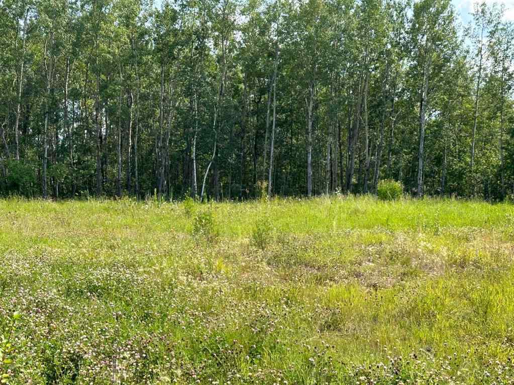 MLS® A2254769 - Unit #123 67417 McGrane Road   in Lac La Biche Lac La Biche, Land