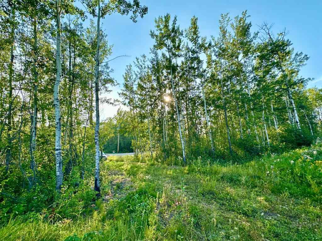 MLS® A2254769 - Unit #123 67417 McGrane Road   in Lac La Biche Lac La Biche, Land