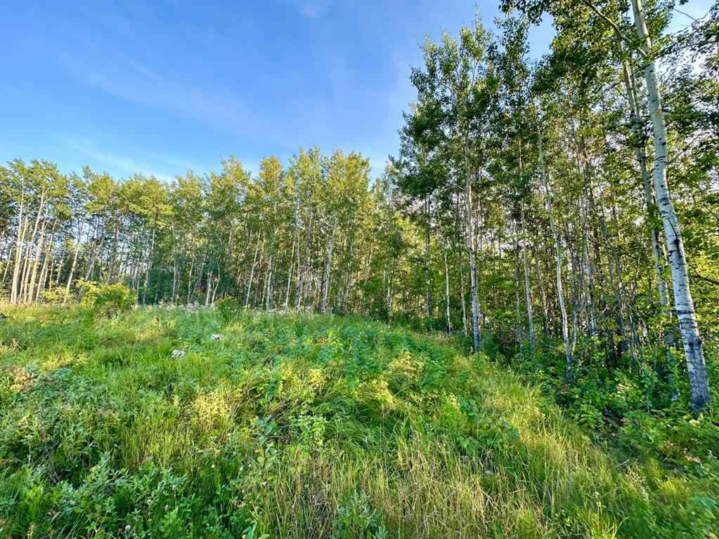 MLS® A2254769 - Unit #123 67417 McGrane Road   in Lac La Biche Lac La Biche, Land