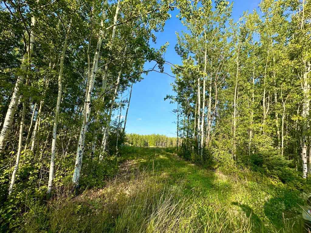 MLS® A2254769 - Unit #123 67417 McGrane Road   in Lac La Biche Lac La Biche, Land