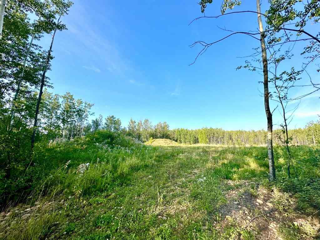 MLS® A2254769 - Unit #123 67417 McGrane Road   in Lac La Biche Lac La Biche, Land