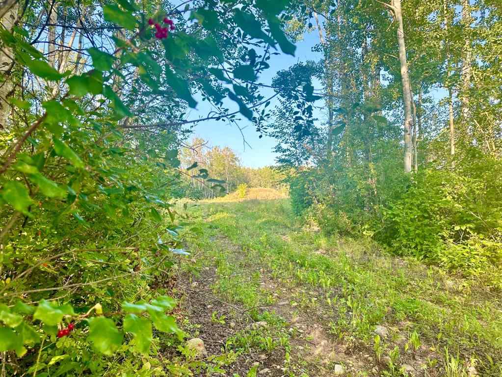 MLS® A2254770 - Unit #121 67417 McGrane Road   in Lac La Biche Lac La Biche, Land